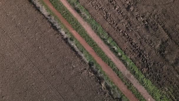 从空中俯瞰一辆越野车在田野间的乡间土路上行驶 — 图库视频影像