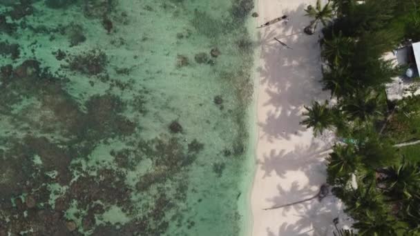 Drone Bird Eye Aerial View Rocky Reef Landscape Sandy View — Stock Video