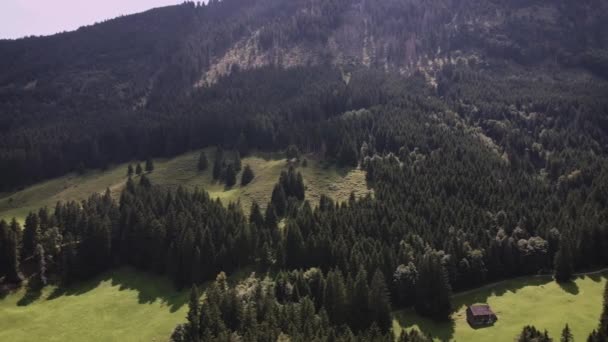 Склоне Горы Швейцарии Немецкая Часть — стоковое видео
