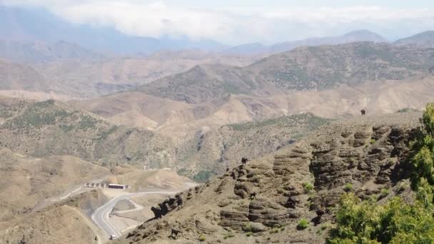 Imágenes Vista Panorámica Montaña Atlas Con Cabras Caminando Marruecos Norte — Vídeos de Stock