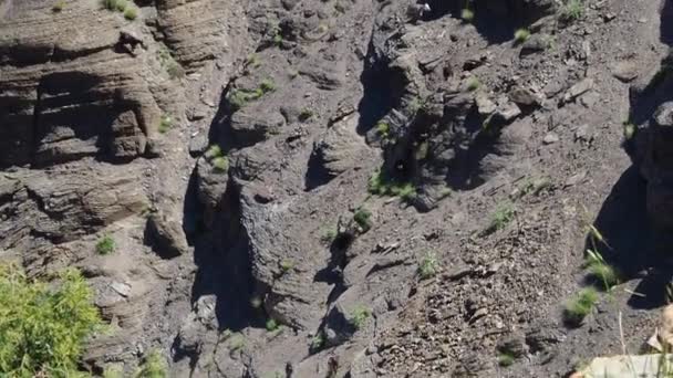 Aufnahmen Von Ziegen Beim Wandern Atlas Gebirge Marokko Nordafrika — Stockvideo