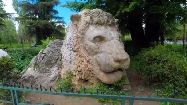 Bilder Lejonskulptur Ifrane Marocko Stad Mellanatlasen Kallaste Platsen Afrika — Stockvideo