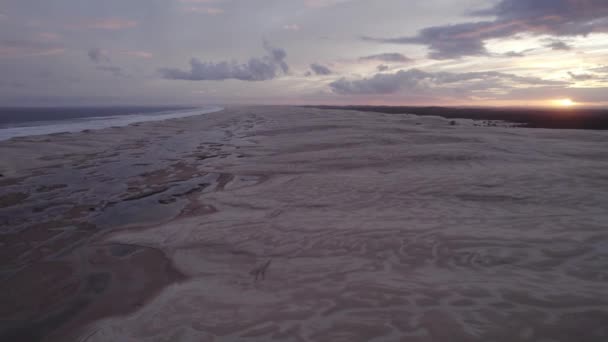 Sunset View Stockton Sand Dunes Beach Hunter River New South — Stockvideo