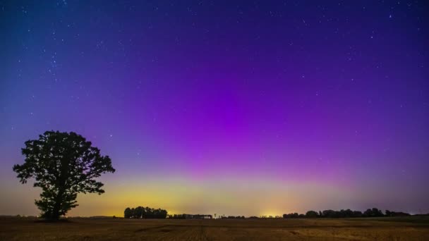 Uma Noite Estrelada Campo Com Silhueta Uma Árvore Aurora Boreal — Vídeo de Stock