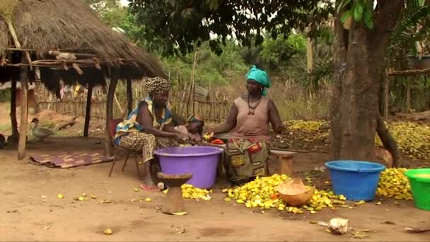 在几内亚比绍的一个村庄 两名几内亚妇女将腰果汁挤进两个大容器 — 图库视频影像