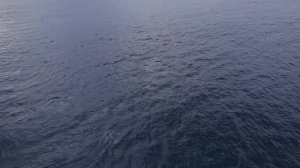 Widok Powietrza Spokojne Morze Niebieskie Wybrzeżu Nowej Południowej Walii Australia — Wideo stockowe