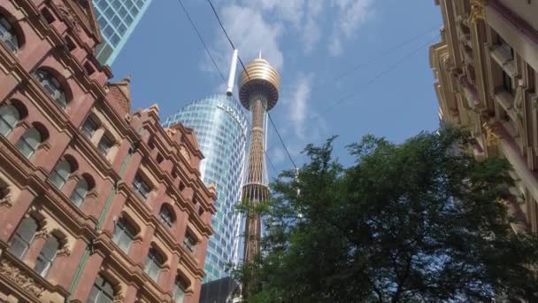 Heritage Skyscrapers Buildings Westfield Tower View Pitt Street Mall Sydney — Stock Video