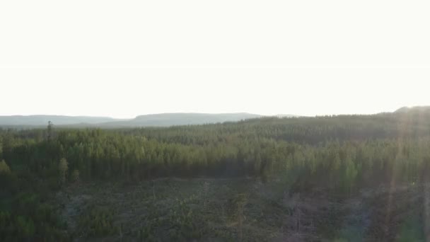 Tragere Largă Unei Păduri Frumoase Timpul Apusului Soare — Videoclip de stoc