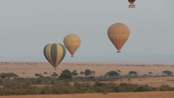 Четыре Воздушных Шара Дрейфующих Над Ландшафтом Масаи Мара Кения — стоковое видео