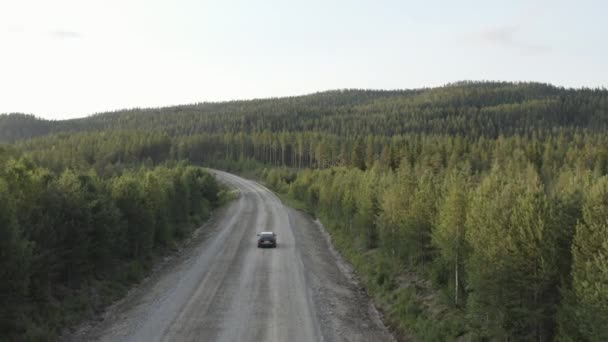 4K自然の森の中の未舗装の田舎道の車の上のドローンビュー — ストック動画