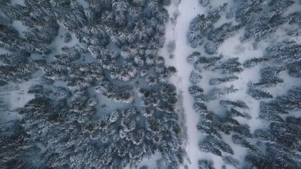 Soepele Voorwaartse Vlucht Een Bergweg Winter — Stockvideo