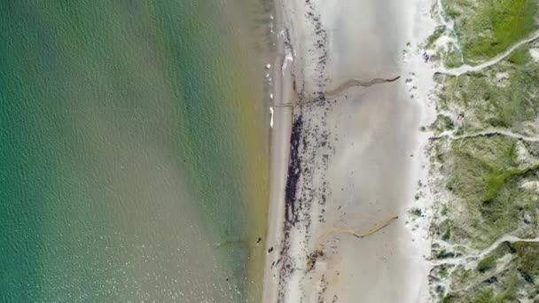 Fåglar Blickar Över Kusten Grönt Gräs Sandstrand Och Turkost Vatten — Stockvideo