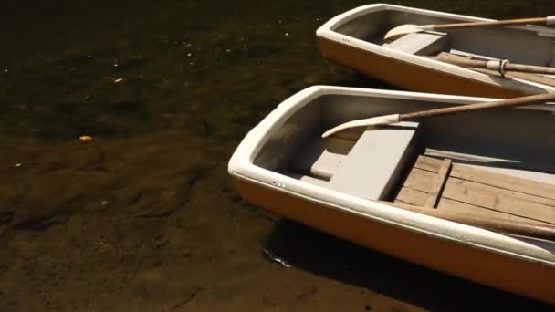 Belakang Dua Perahu Dayung Putih Dan Kuning Duduk Sisi Sungai — Stok Video