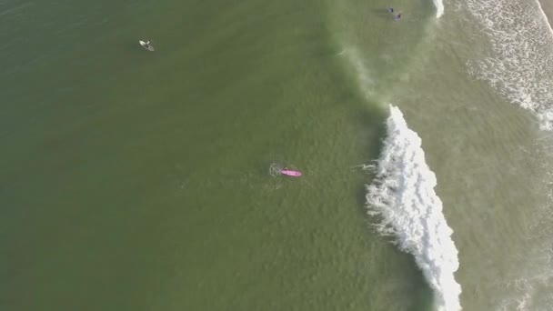 Drohnenblick Von Oben Auf Surfer Nauset Beach Cape Cod Massachusetts — Stockvideo