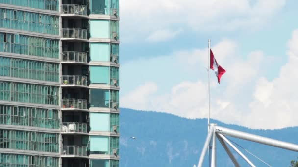 Kanada Zászló Belváros Vancouver — Stock videók