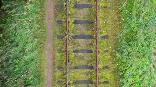 Vogels Met Zicht Oude Roestige Verlaten Rails Voorwaarts Bewegen — Stockvideo