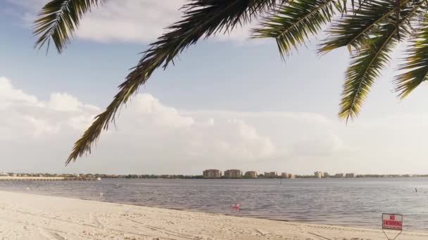 Strzał Palm Parku Nad Oceanem Wybrzeżu Zatoki Cape Coral Floryda — Wideo stockowe