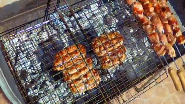 Salchichas Caseras Bbq Kabababs Cocinados Aire Libre — Vídeo de stock
