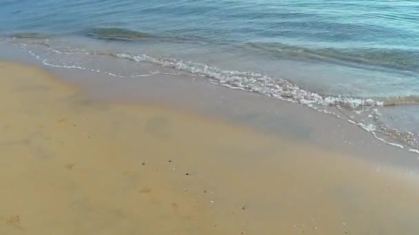 波を見る美しい海岸線 — ストック動画