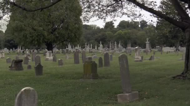 Catholic Cemetery Tombstones Trees Foliage Light Breeze Static Shot — Stock Video