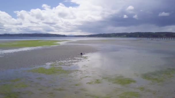Ευρεία Κεραία Του Αγοριού Παίζει Στην Άμμο Χαμηλή Παλίρροια — Αρχείο Βίντεο