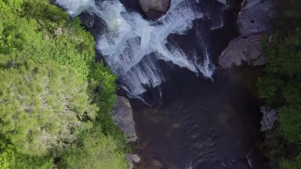 Terbang Atas Air Terjun Dupont State Park North Carolina — Stok Video