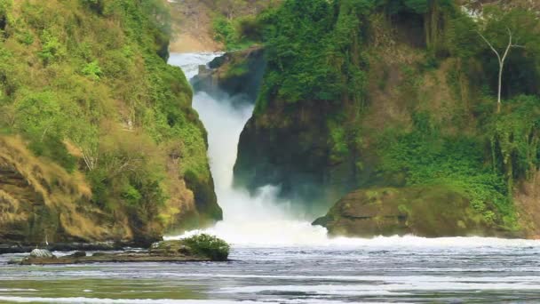 アフリカのナイル川の滝 — ストック動画