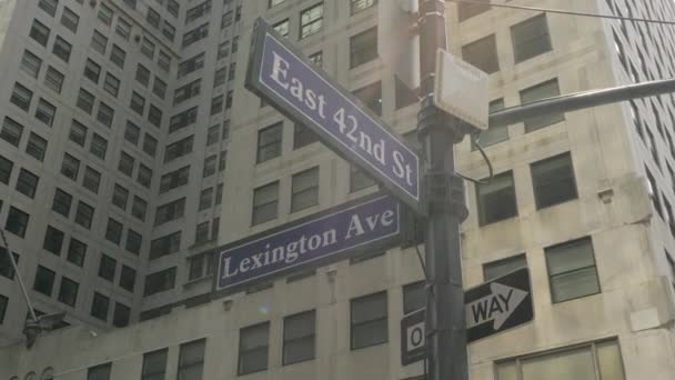 Cadde Lexington New York Imzalayın — Stok video