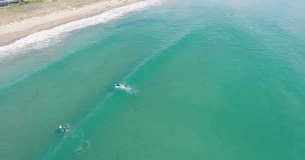 ニュージーランドの明るい青い水の中のサーファーの空中ドローンショット海岸線を明らかにするために引き返す — ストック動画