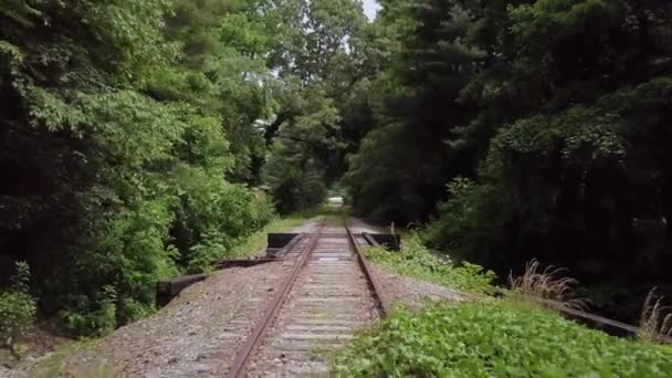 Vertigo Zolly Aerial Train Tracks — Stock video