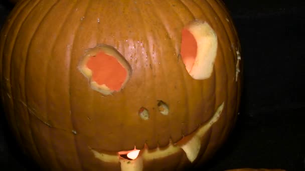 Snidade Halloween Pumpor Med Ljus Inuti Pumpar Som Sitter Separata — Stockvideo