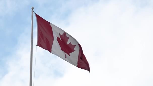 Kanadensisk Flagga Vinden — Stockvideo