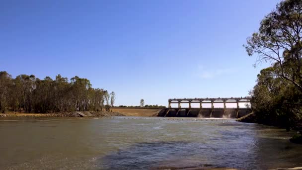 Pintoresco Plano Del Río Murray Mirando Hacia Puente Vertedero Yarrawonga — Vídeos de Stock