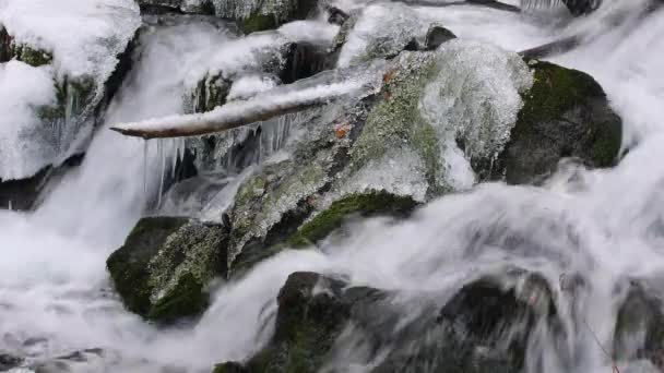 阿拉斯加州Chugach州立公园 在覆盖着积雪的森林里 在岩石和冰面上流过的小瀑布附近 — 图库视频影像