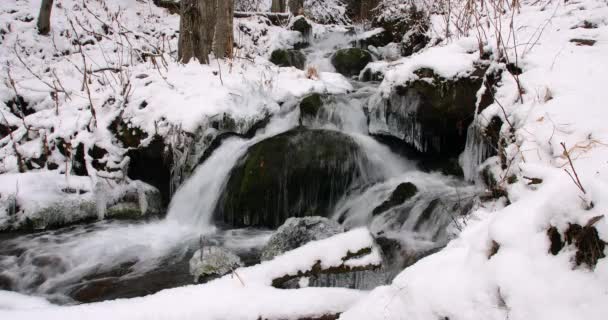 阿拉斯加Chugach州立公园 一个小瀑布在覆盖着积雪的森林中的岩石和冰上流过 — 图库视频影像