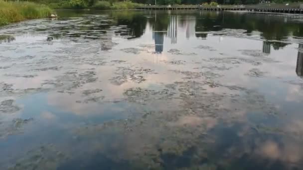 ามทะเลสาบในสวนส นคอล นปาร คาโก — วีดีโอสต็อก