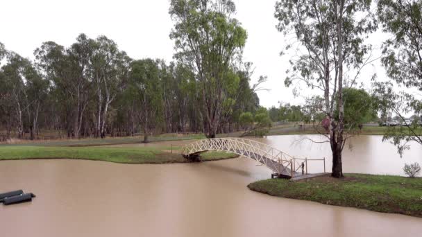 Прогулюючись Мостом Через Маленьке Озеро Австралійським Бушлангом Задньому Плані Падає — стокове відео