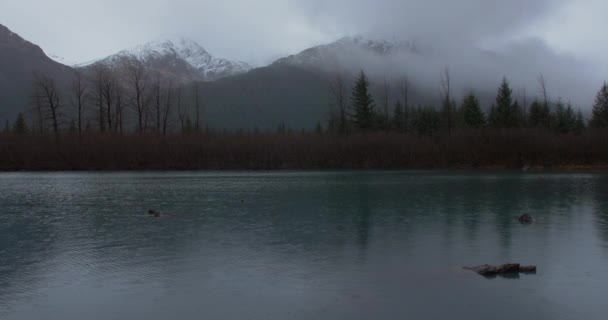 一场小雨落在阿拉斯加州的一个以高山为背景的小湖上 — 图库视频影像