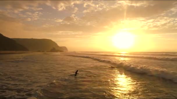 Dalgıç Kıyafetleriyle Sörf Kampındaki Insanların Sörf Yapması Dalgalarla Boğuşuyor Altın — Stok video