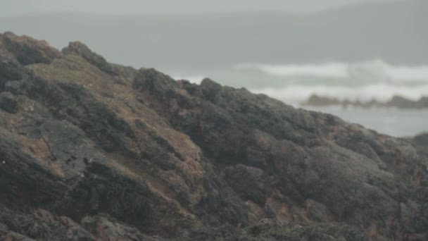 波を背景にビーチで大きな岩 スローモーション — ストック動画