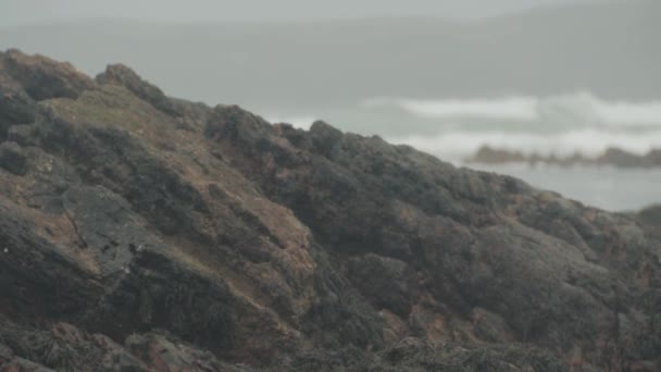 Grote Rots Het Strand Met Golven Achtergrond Langzame Beweging — Stockvideo