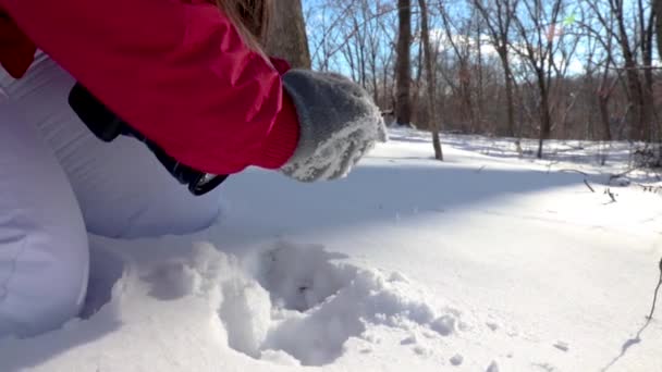 Close Uma Menina Fazendo Uma Bola Neve Com Uma Câmera — Vídeo de Stock