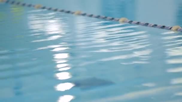 Een Statische Shot Van Het Water Rimpelt Een Overdekt Zwembad — Stockvideo