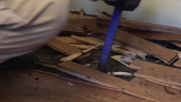 Albastru Guler Lucrător Prying Apă Deteriorat Podele Din Lemn Greu — Videoclip de stoc