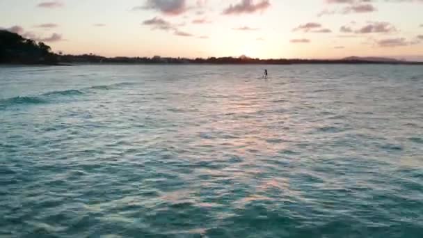 Kamera Fährt Ein Und Über Einen Paddleboarder Aufgenommen Von Einer — Stockvideo