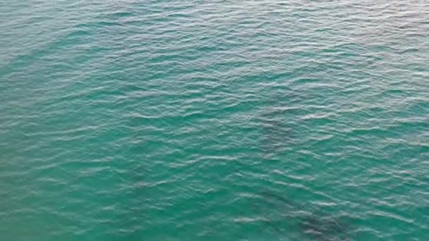 Rastreamento Drones Sobre Água Oceano Clara Luz Suave — Vídeo de Stock