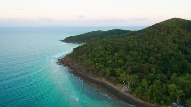 Imagens Drones Uma Floresta Junto Oceano Azul Profundo Tiro Mavic — Vídeo de Stock