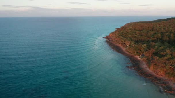 Imagens Drones Uma Floresta Vermelha Quente Junto Oceano Azul Profundo — Vídeo de Stock