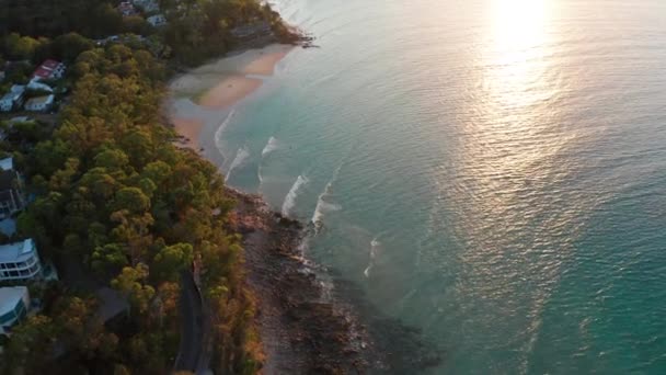 Filmagem Drones Uma Pequena Praia Tranquila Cercada Por Floresta Que — Vídeo de Stock