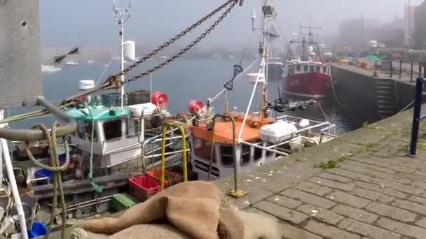 Fishing Boats Dock Slow Motion — Stock Video